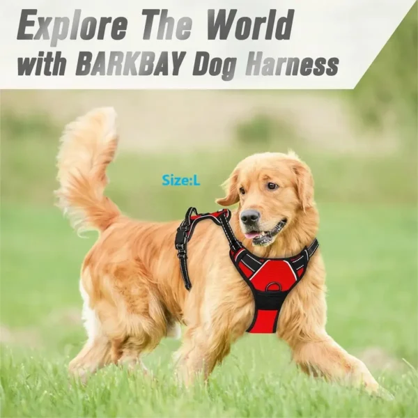 Dog Collars Harness Big Vests Leash - Image 6