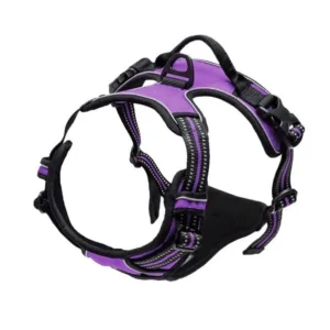 Dog Collars Harness - Big Vests Leash for your Pet