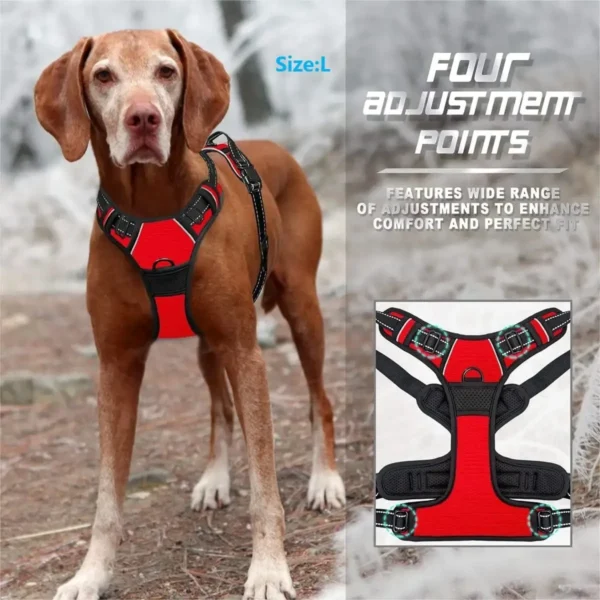 Dog Collars Harness Big Vests Leash - Image 8