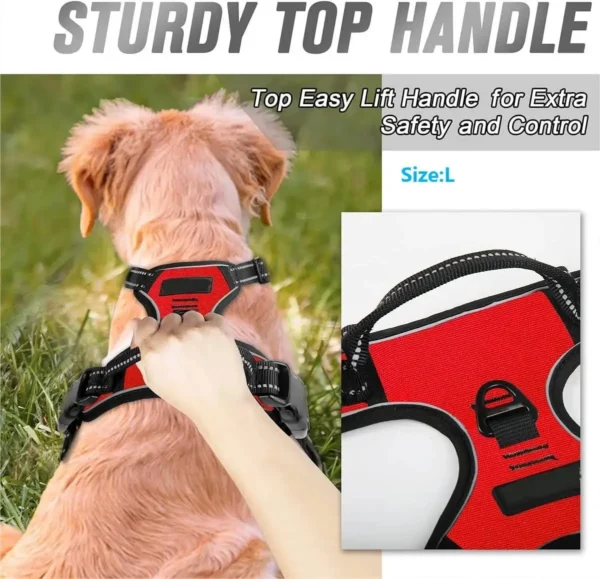 Dog Collars Harness Big Vests Leash - Image 4